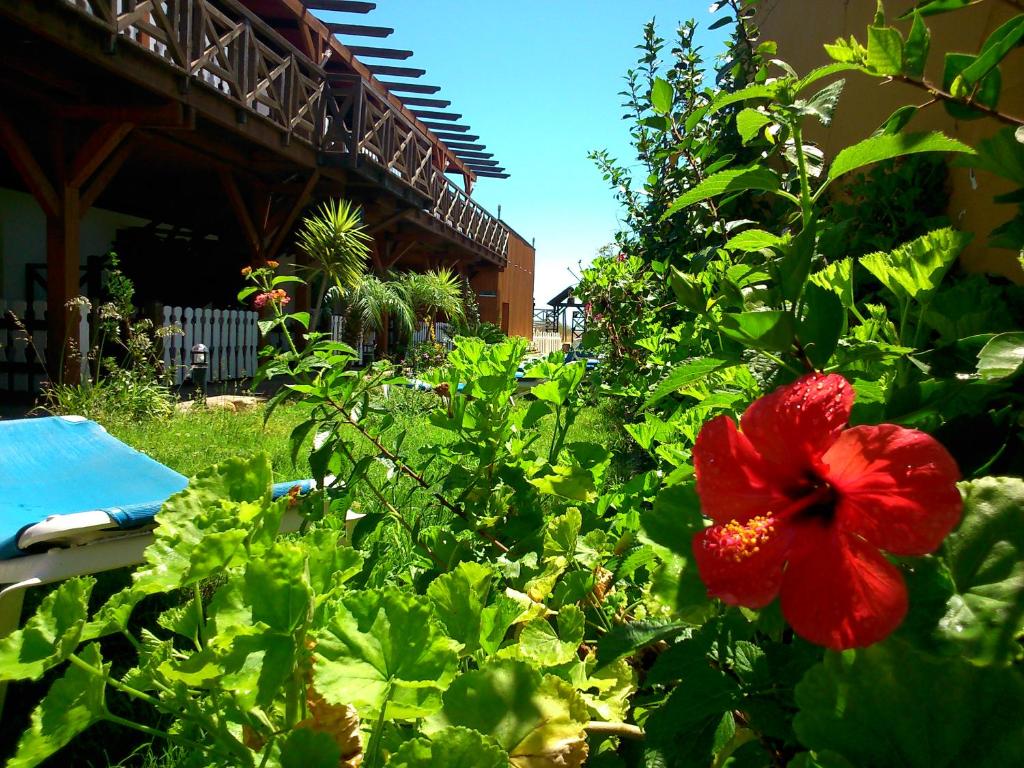 Hostal Playa Mazagon (El Remo) photo 3