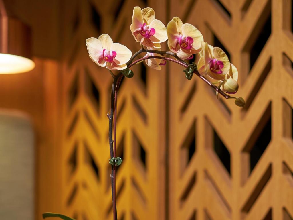 Двухместный (Двухместный номер Делюкс с 1 кроватью), Oasia Hotel Downtown, Singapore by Far East Hospitality