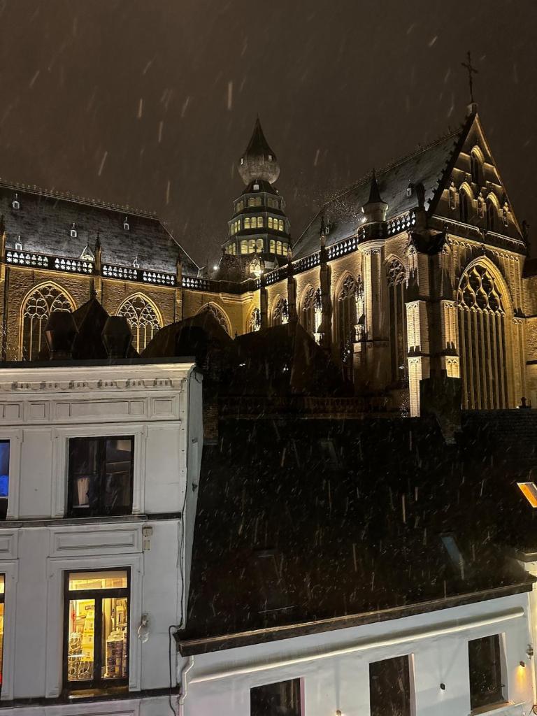 Charming Apartment with Cathedral View in Antwerp on the 2th floor photo 2