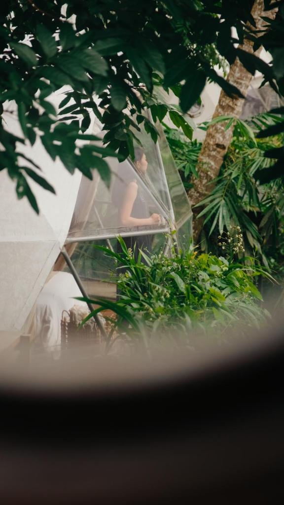 Lintang Luku Tent Resort Ijen, Banyuwangi photo 1
