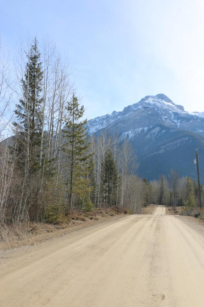 Rocky Mountain Cabins and Home photo 3