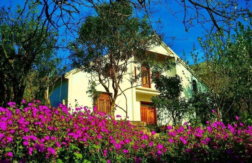 Hidden Gem Villa photo 2
