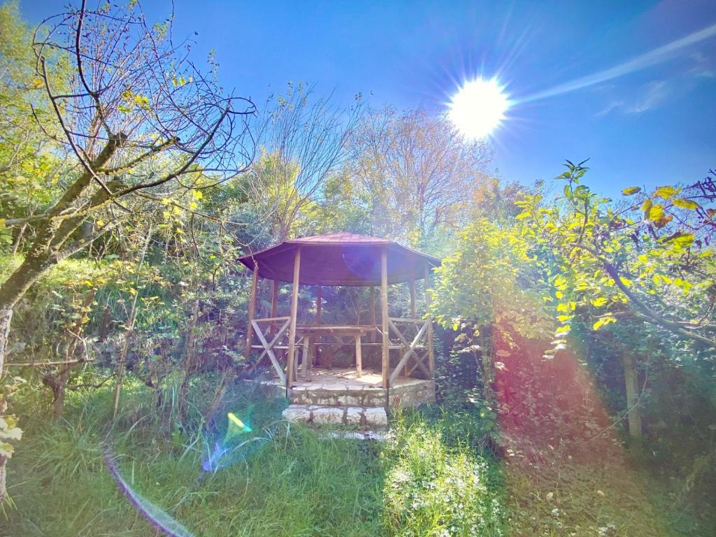 Hidden Gem Villa photo 3