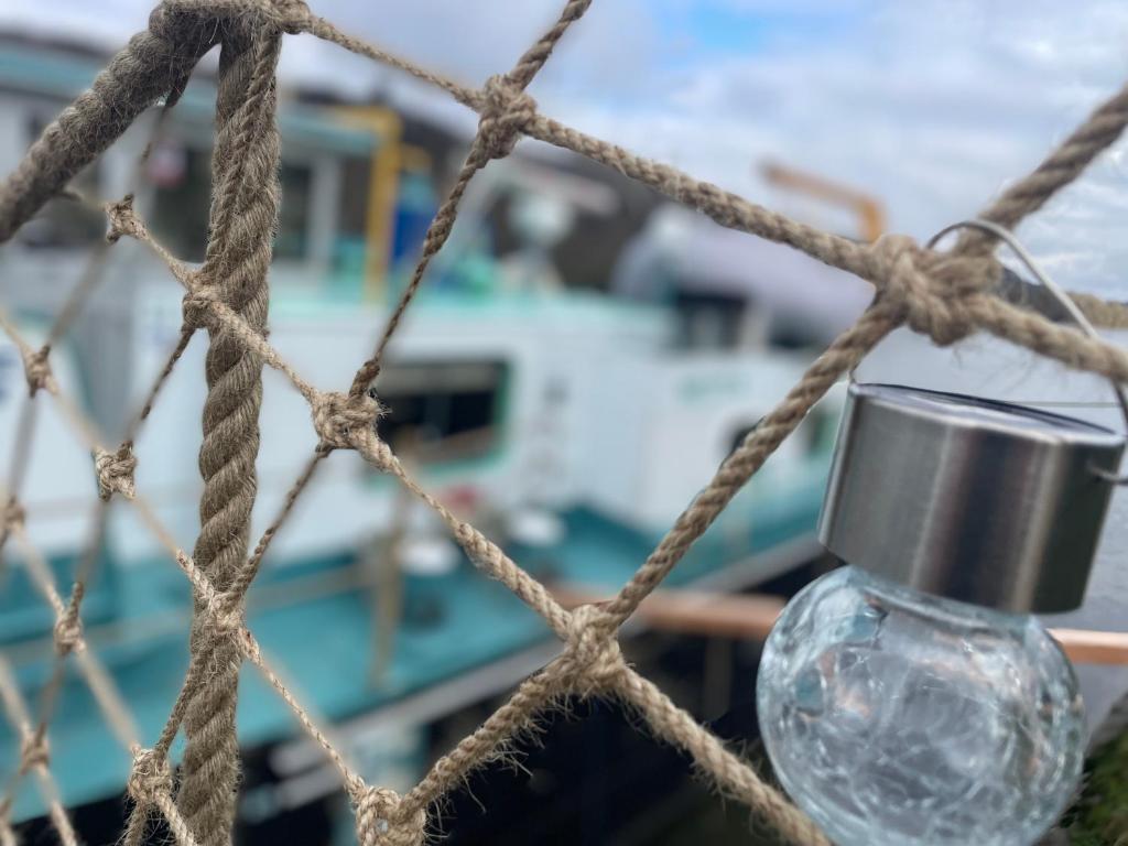 La péniche Necta photo 3