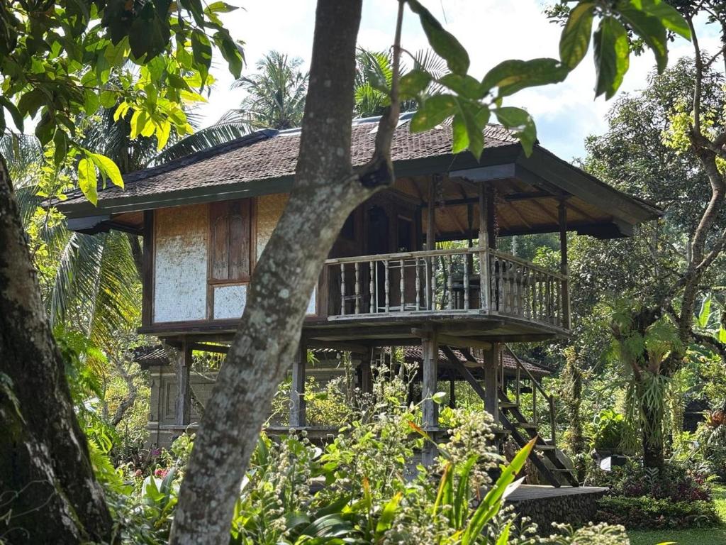 Mesari Cottage Guest House photo 2