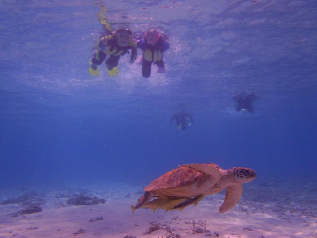 Kerama Backpackers photo 4