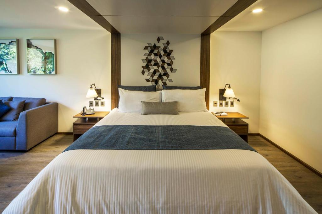 Сьюит (Полулюкс), FlowSuites Condesa