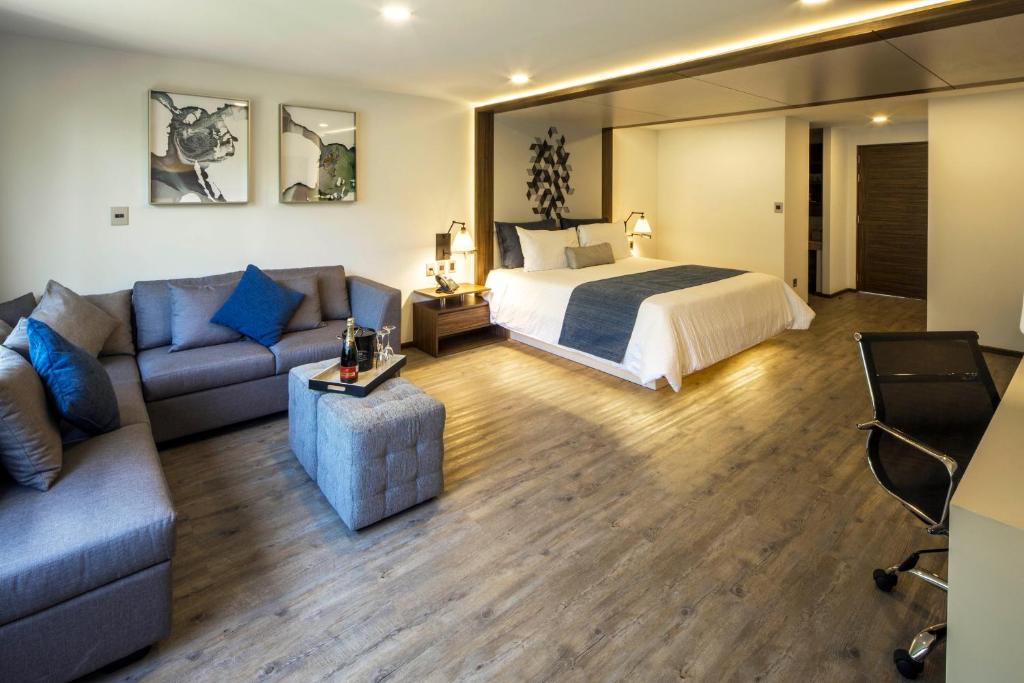 Сьюит (Полулюкс), FlowSuites Condesa