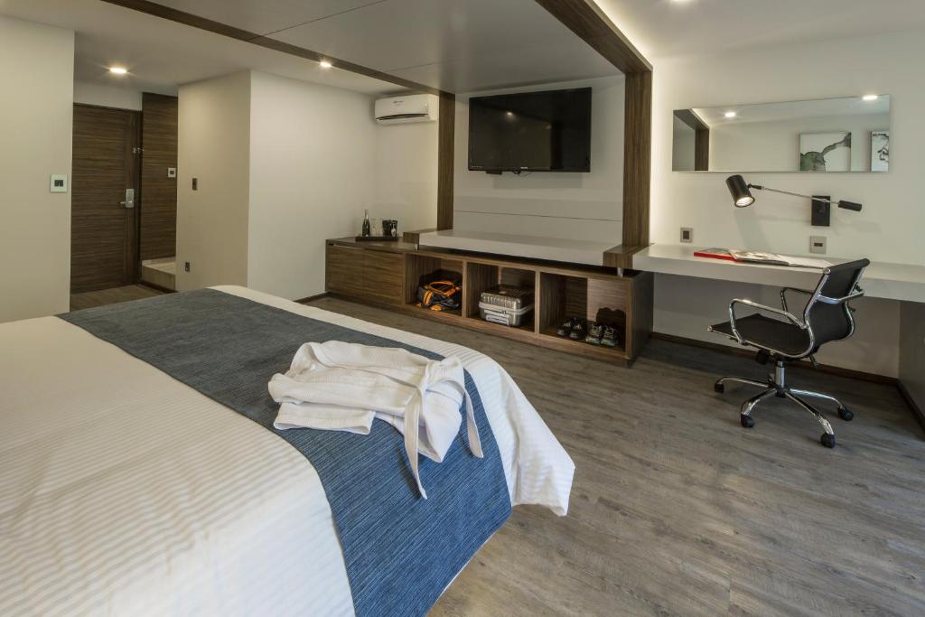 Сьюит (Полулюкс), FlowSuites Condesa