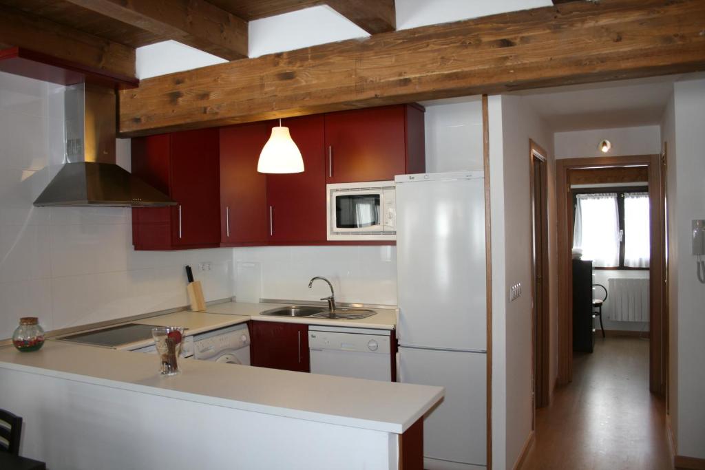 Apartamentos Panticosa photo 4