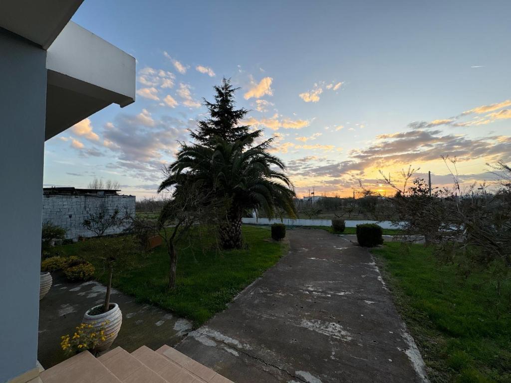 Villa ILIRIAN photo 3