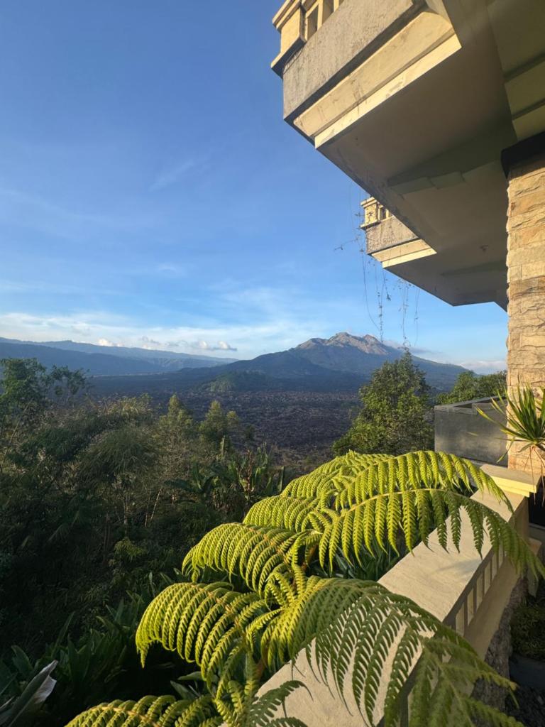 Ayodya Batur Villa Room Type - King Room with Mountain View