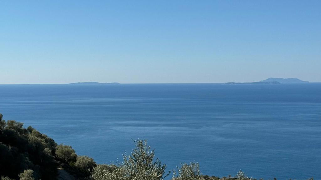 U N I Q U E by Sea View Suites photo 1