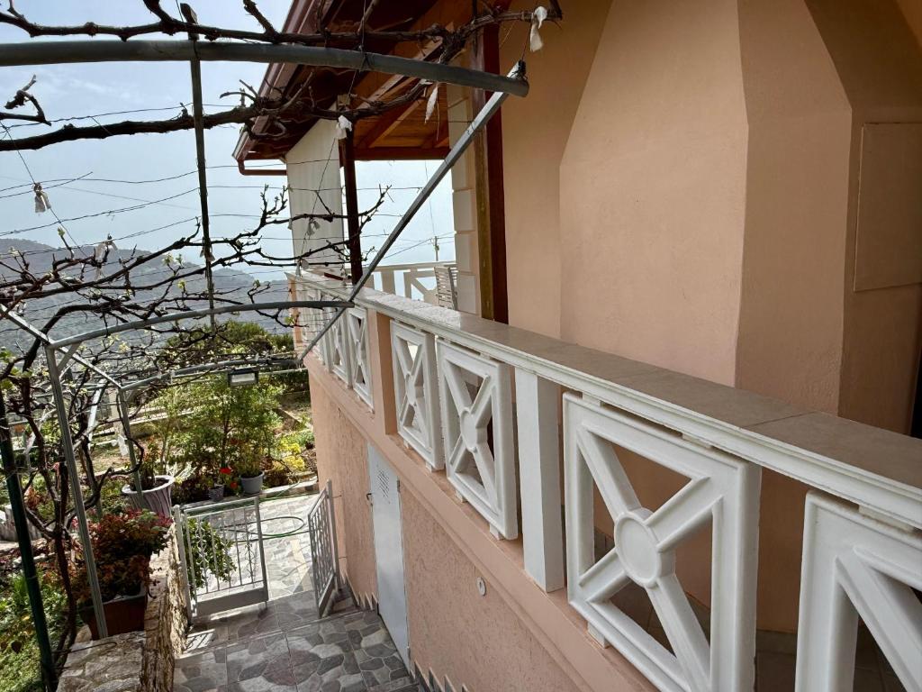 Villa Nefeli photo 4