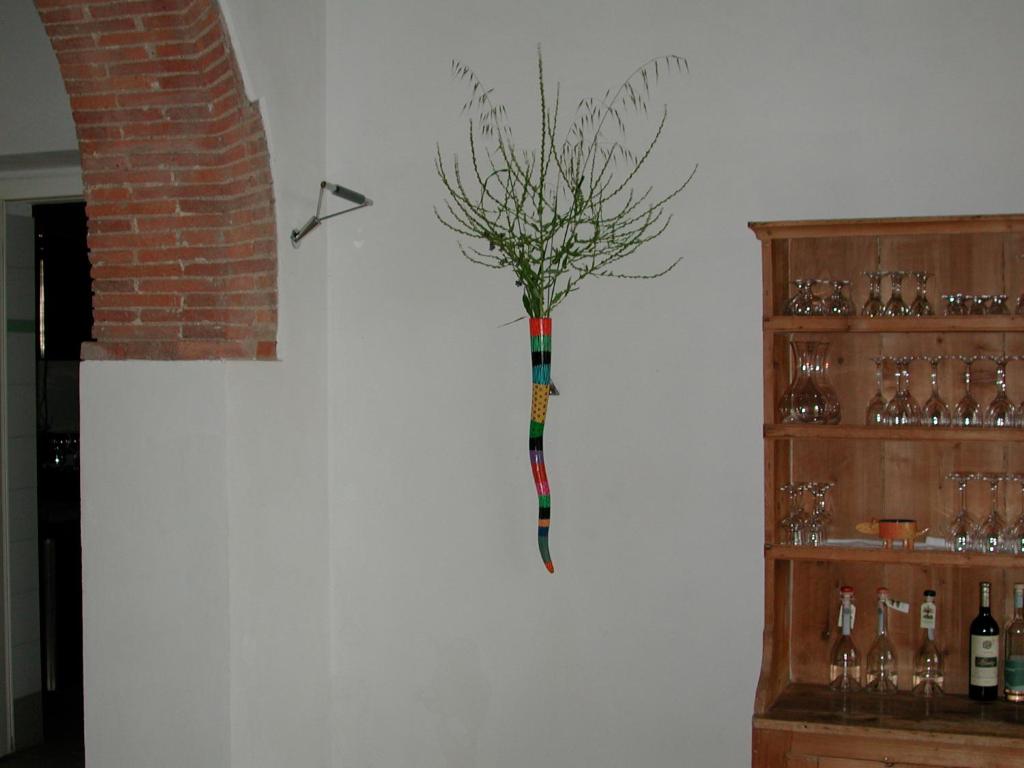 Podere Riparbella photo 3