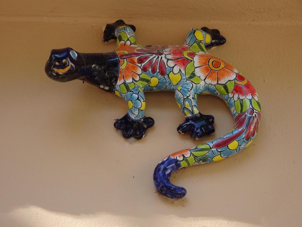 La Salamandra photo 1