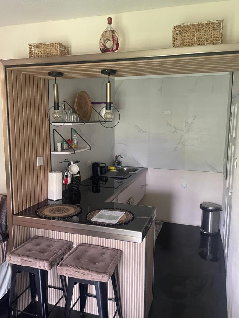 Scarlett Studios 1 - US Embassy Appt 7 mins drive- Lloyd Erskine Sandiford Centre and Ross uni 5 mins drive -Only the 1 night package includes Airport and Embassy roundtrip photo 3