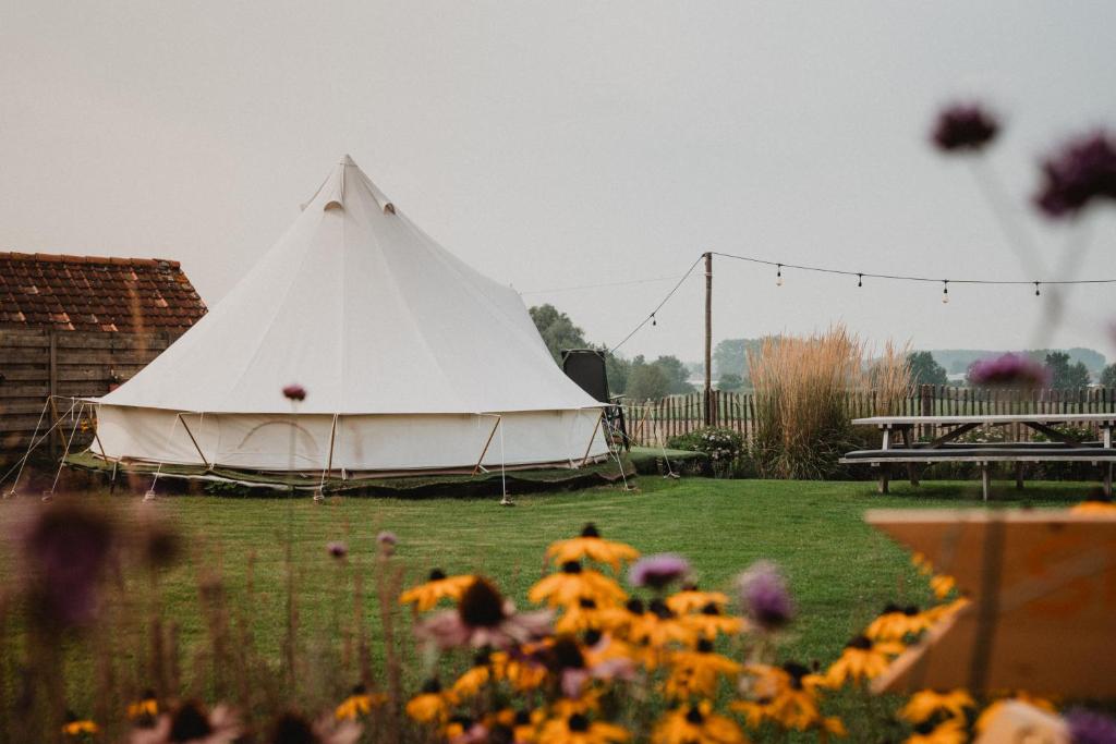 Shaka Belgium Tipi photo 2