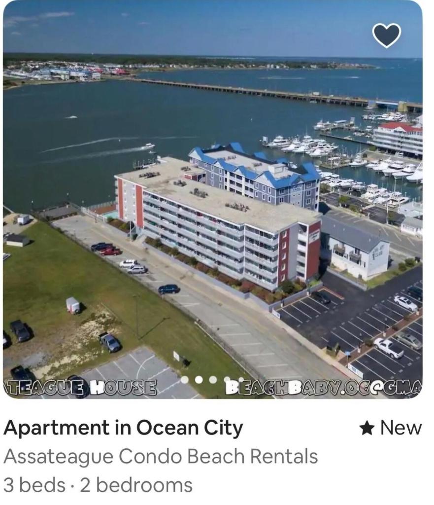 Assateague House #203 OC Beach Rental image