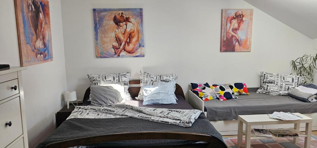 Apartmány Tylovice Room Type - Studio Apartment
