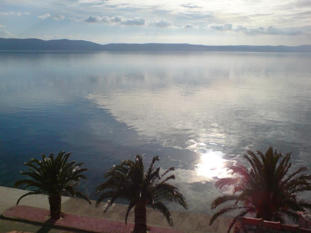 Villa Filip photo 3