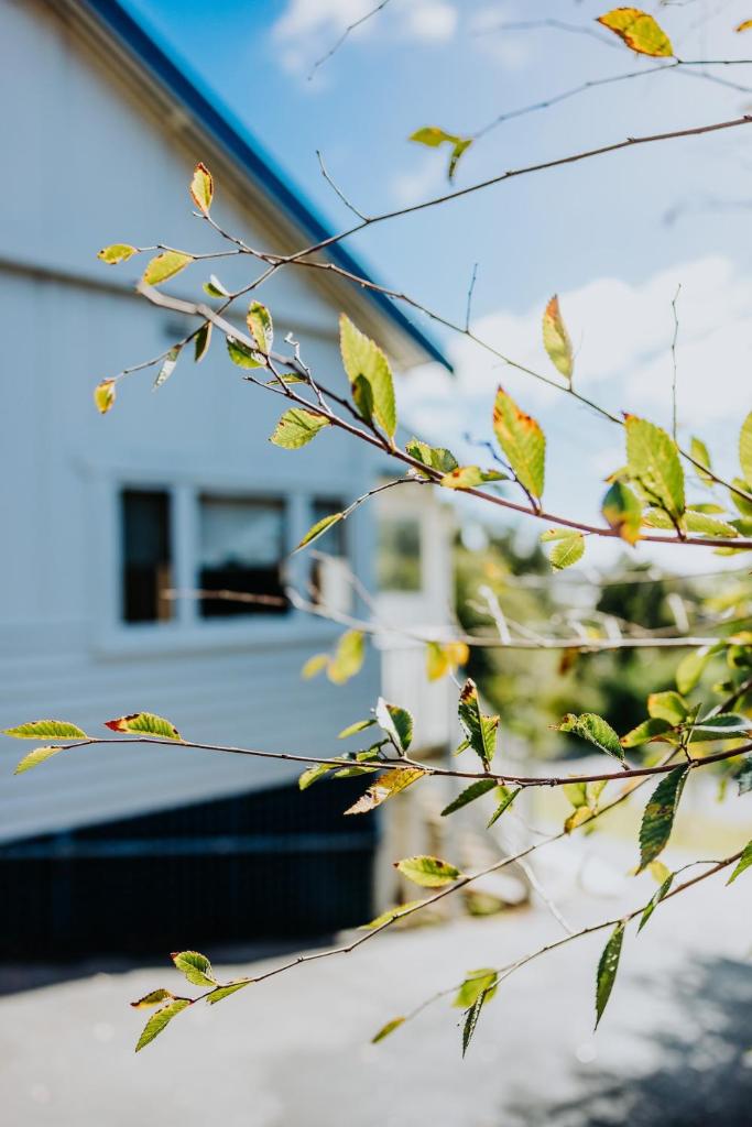 Spectacular views, charming cottage Pinnaroo photo 2