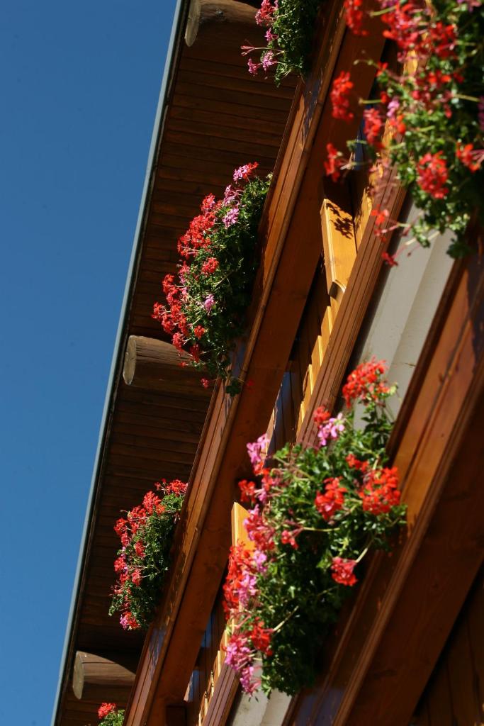 Logis Hotel Les Playes photo 3