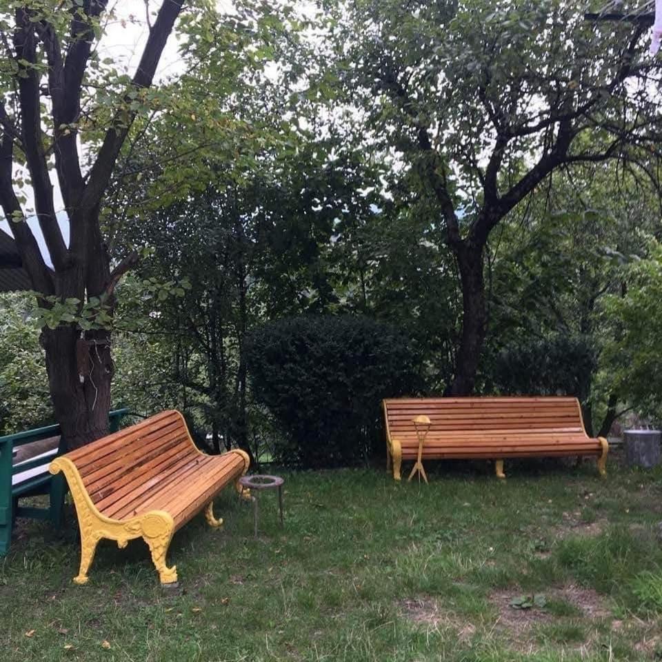 Green Yard photo 3