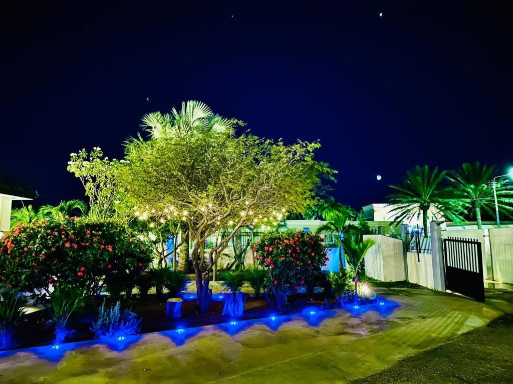 Eagle Stays Aruba-NEW Luxury, Cozy & Spacious Studio Near Eagle Beach! photo 1