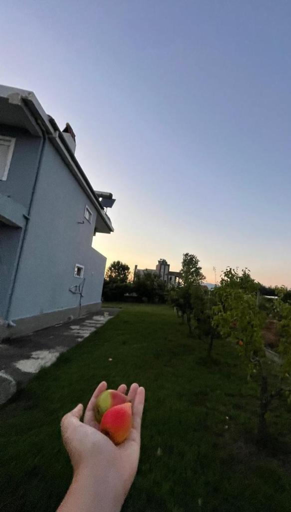 Villa ILIRIAN photo 2