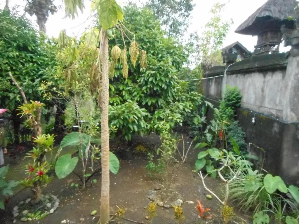 Candra Homestay Besakih photo 4