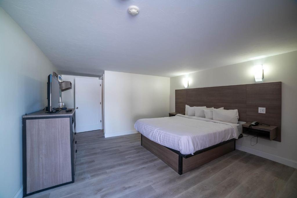 Viking Shores Motor Inn image