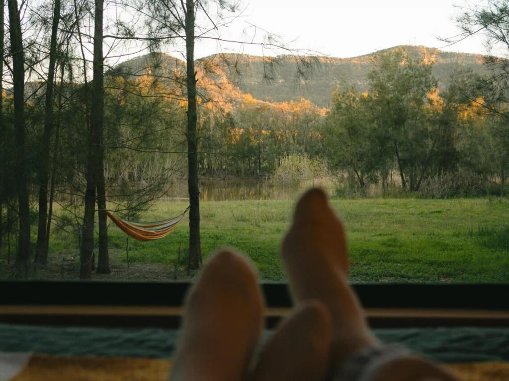 Off-Grid Cabin Hidden in the Hunter Valley - Jax photo 3