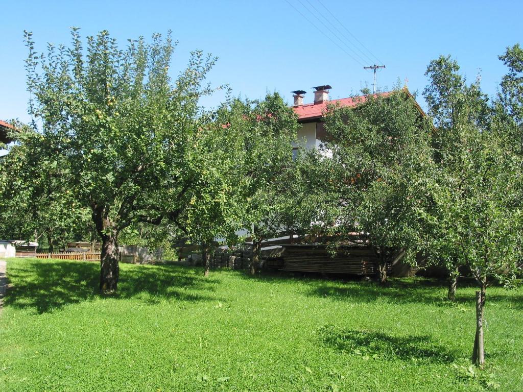 Haus Seiwald photo 3
