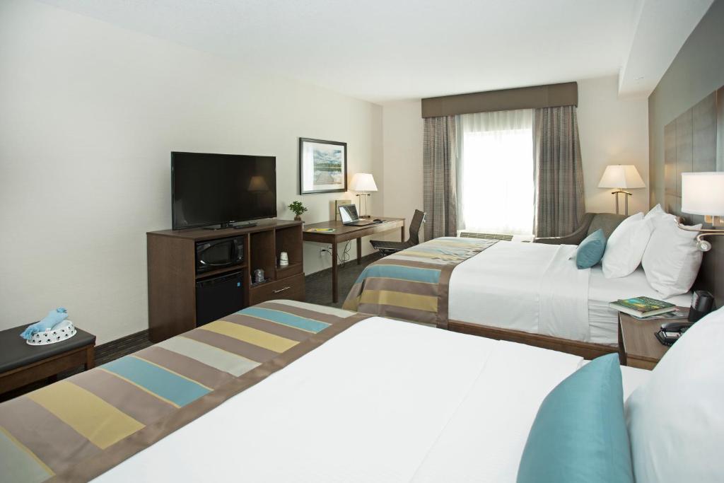 Wingate by Wyndham Calgary Airport photo 3