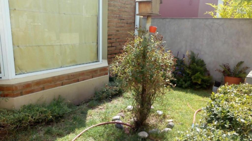 Casa de barrio photo 1