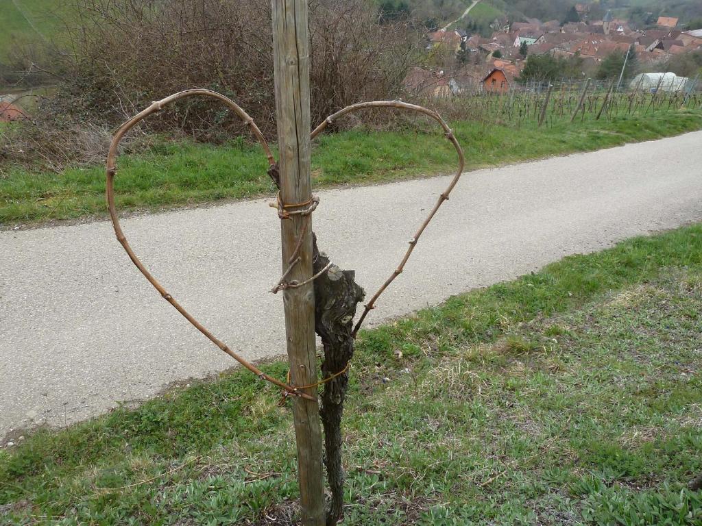 Schiefferberg photo 1
