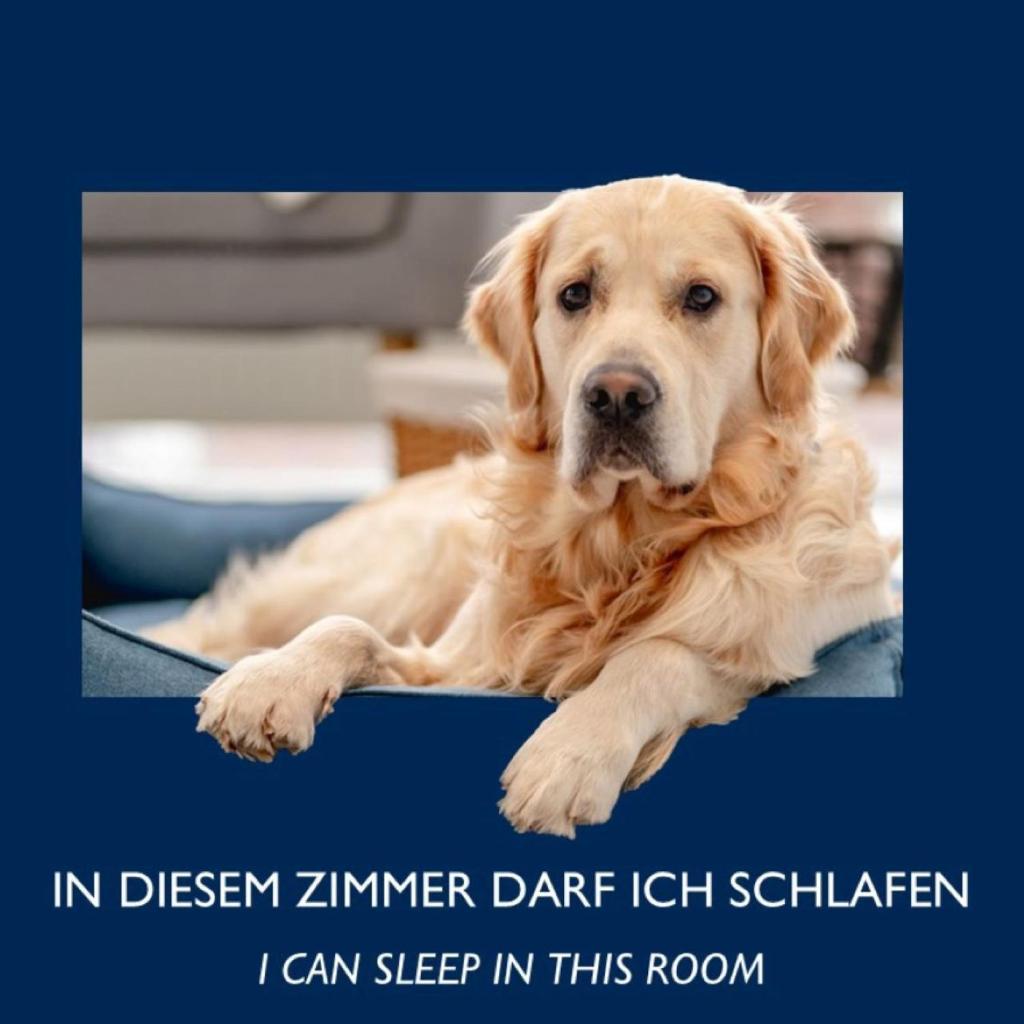 City Hotel Dresden Radebeul - Tap to explore photos