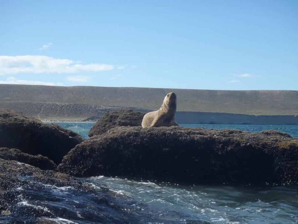 Patagonia House photo 4