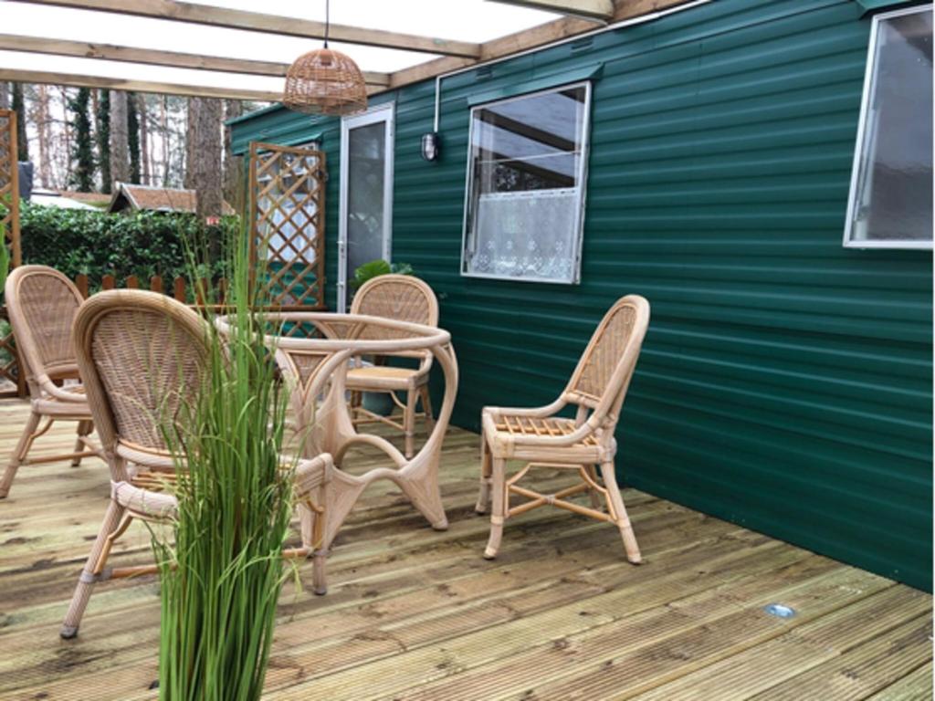 Chalet in Antwerp Kempen with terrace photo 3