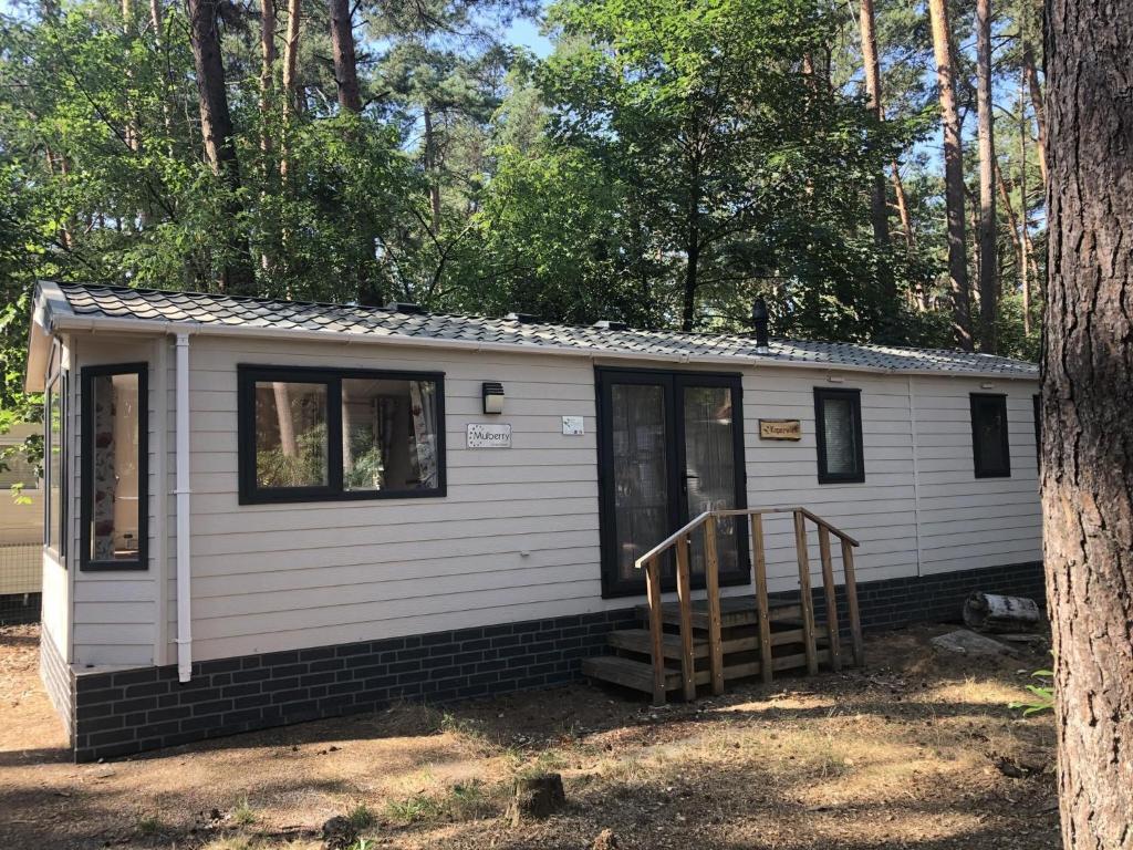 Premium chalet in the Antwerp Kempen