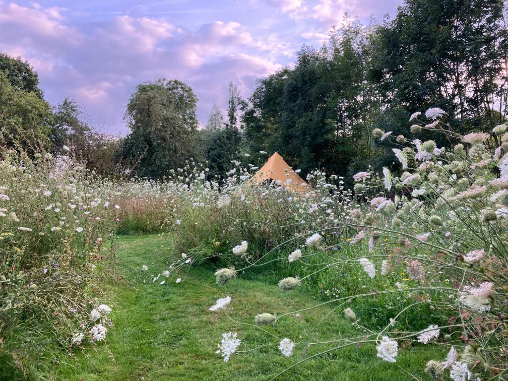 Natuurglamping 't Wijland photo 3
