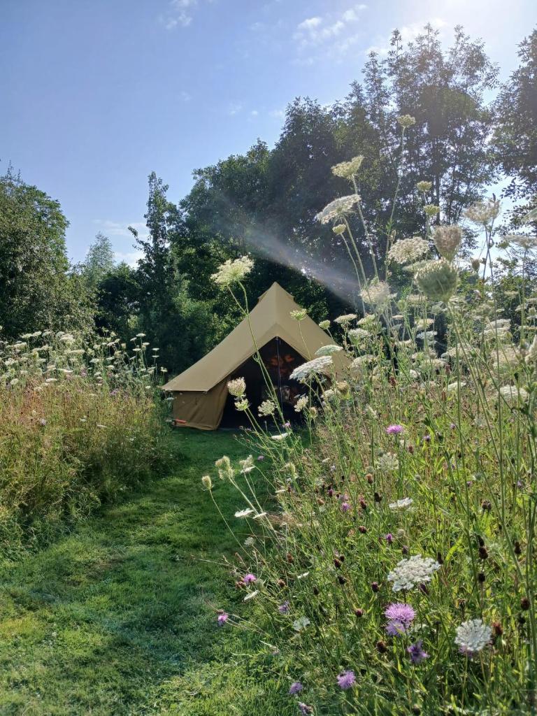 Natuurglamping 't Wijland