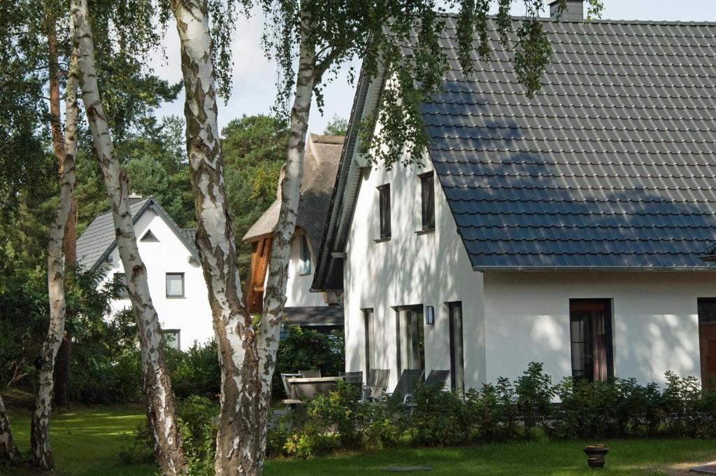 Dünenresidenz Glowe - Ferienhaus Maxi 200 m zum Strand photo 4