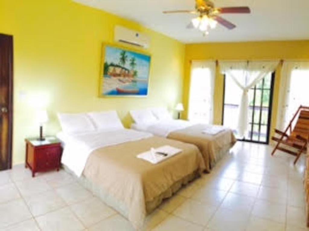 Casa Lila photo 4