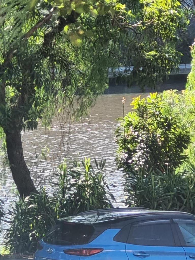 On the Yarra River photo 2