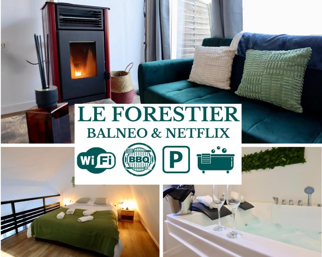 Le Forestier - Moderne & Confort - Balnéo Netflix Gratuit BBQ Terrasse -Animaux bienvenus