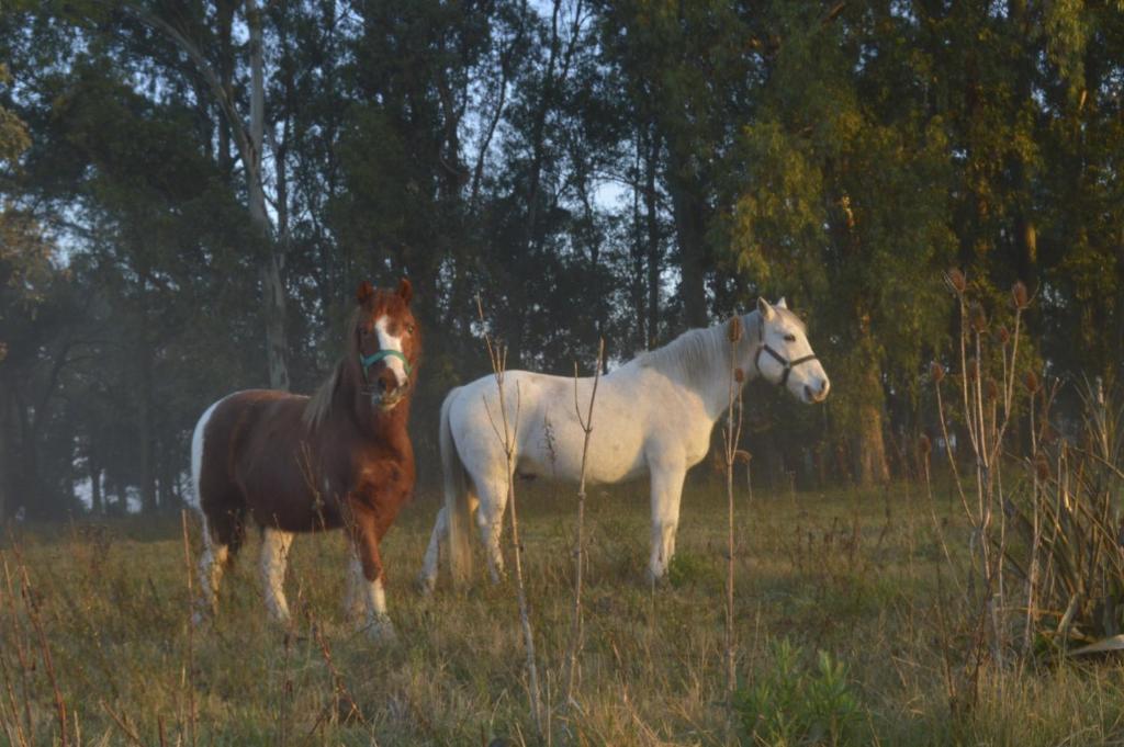 Campo El Catalejo photo 1