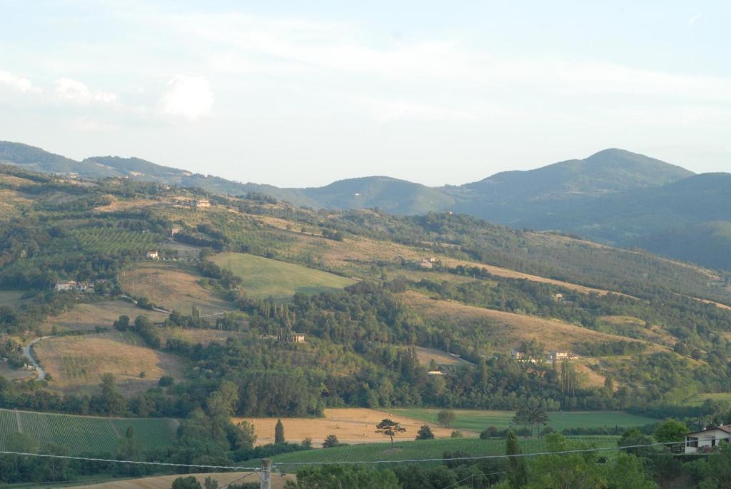 Maridiana Alpaca Country House photo 2