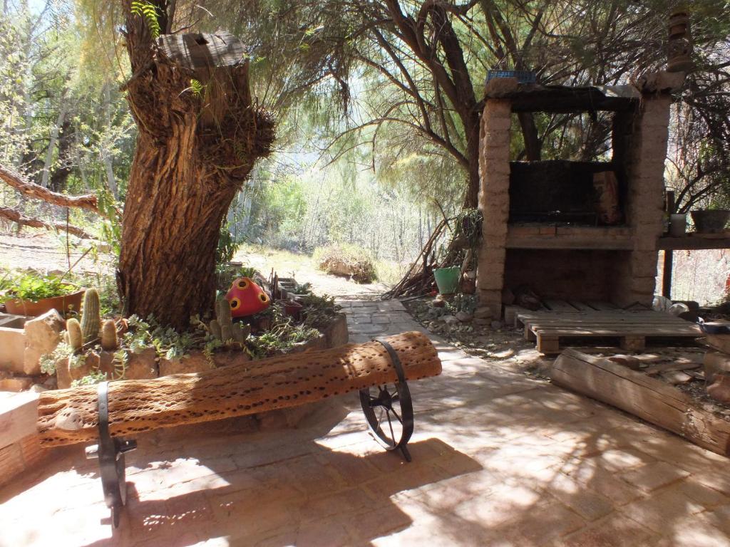 Casa Minerva photo 4